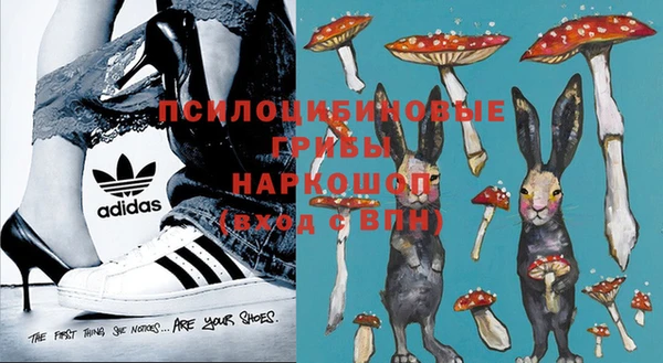 спиды Алзамай