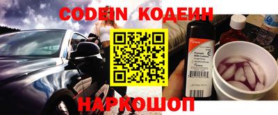apvp Гатчина