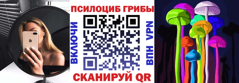 даркнет сайт  Дзержинский  Галлюциногенные грибы Psilocybine cubensis 