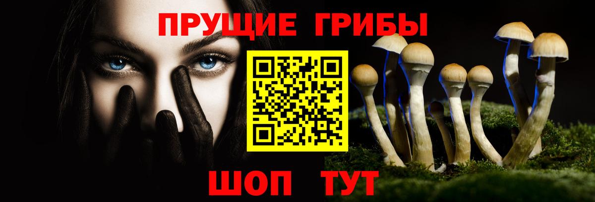 Псилоцибиновые грибы GOLDEN TEACHER  как найти закладки  Вход с VPN  Дзержинский  Галлюциногенные грибы мухоморы 